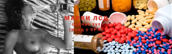 винт Аркадак