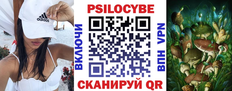 где найти наркотики Белая Холуница Псилоцибиновые грибы прущие грибы